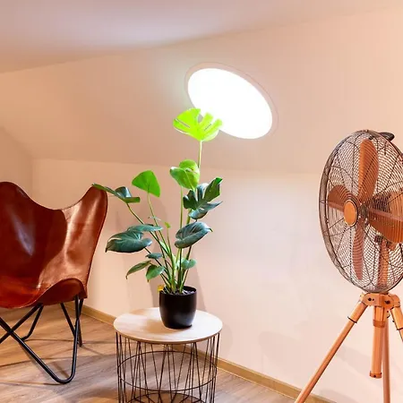 Soulscape Apartment Loft - Tg-Stellplatz, Magenta-Tv & Klima Zwickau